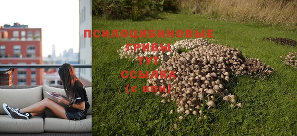 гашик Баксан