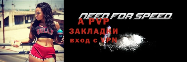 гашик Баксан