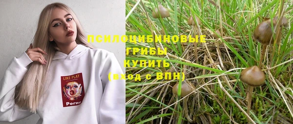 гашик Баксан