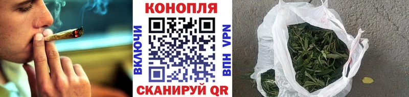 купить наркотик  Снежногорск  kraken зеркало  Шишки марихуана индика 